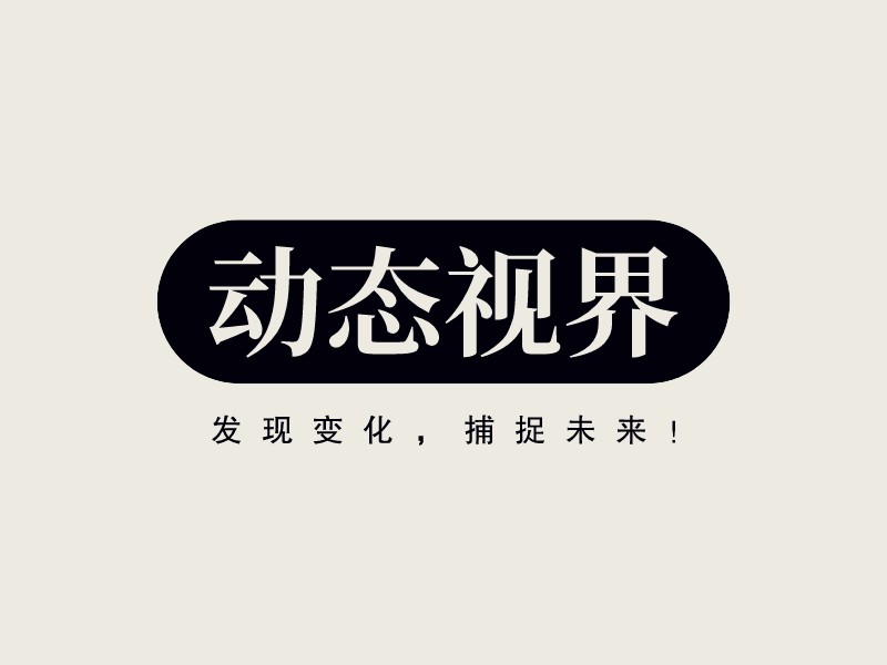 動態(tài)視界LOGO設計